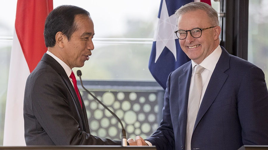 Pernyataan Pers Bersama Presiden Jokowi dan PM Australia Anthony Albanese, Sydney, 4 Juli 2023. (Tangkapan Layar Youtube Sekretariat Presiden)