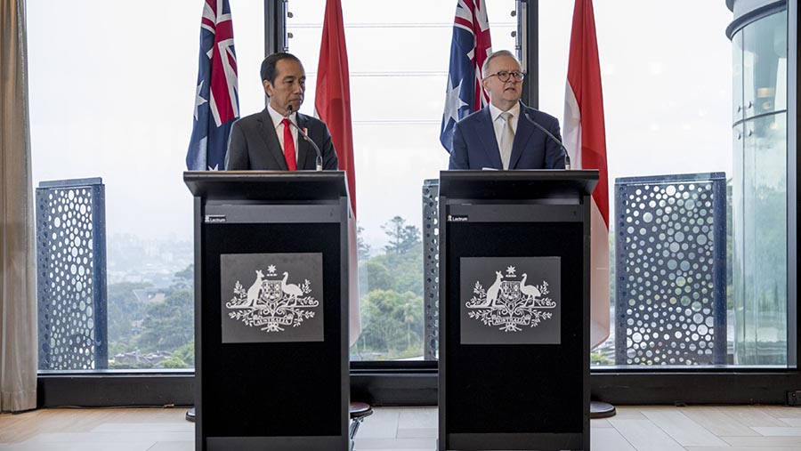 Konfrensi pers Presiden Joko Widodo (Jokowi) dan PM Australia, Anthony Albanese di Sydney, Australia, Selasa (4/7/2023). (Brent Lewin/Bloomberg)