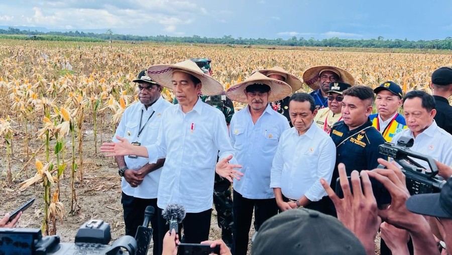 Presiden Joko Widodo (Jokowi) meninjau langsung ladang jagung yang ada di kawasan food estate, di Papua (Dok. Sekretariat Presiden)