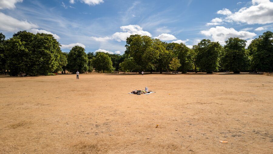 Rerumputan kering di taman London saat kekeringan tahun lalu. (Fotografer: Jose Sarmento Matos/Bloomberg)