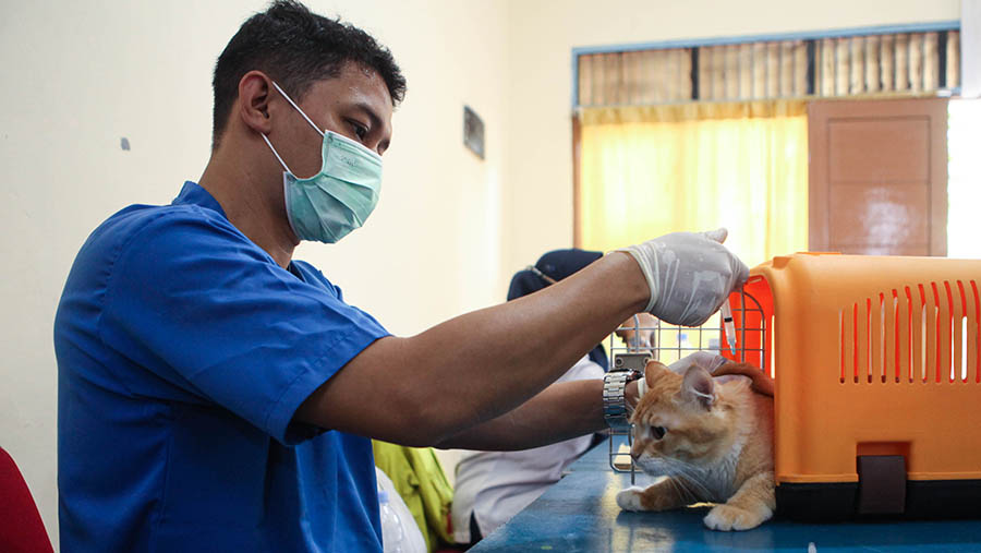 Para warga berbondong-bondong membawa hewan peliharaannya untuk divaksinasi rabies. (Bloomberg Technoz/ Andrean Kristianto)