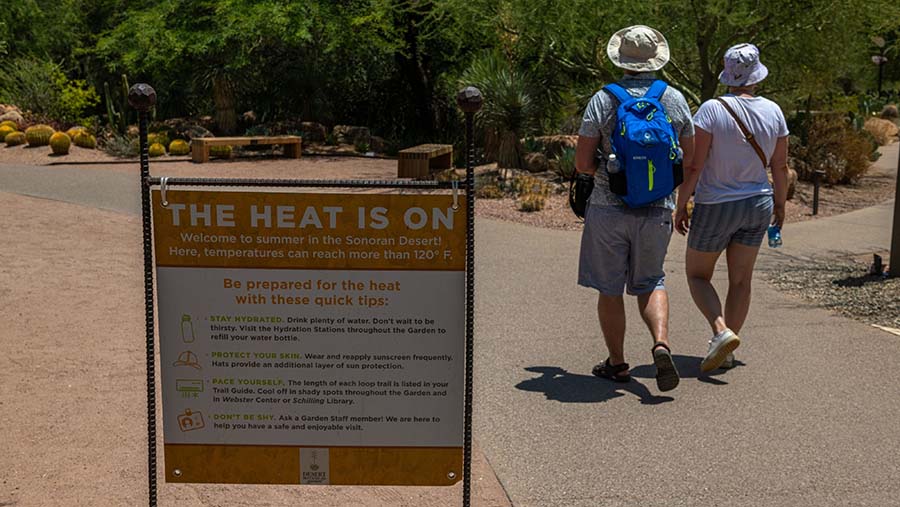 Pengunjung berjalan di Desert Botanical Garden saat gelombang panas di Phoenix, Arizona, AS, Jumat (14/7/2023). (Ash Ponders/Bloomberg)