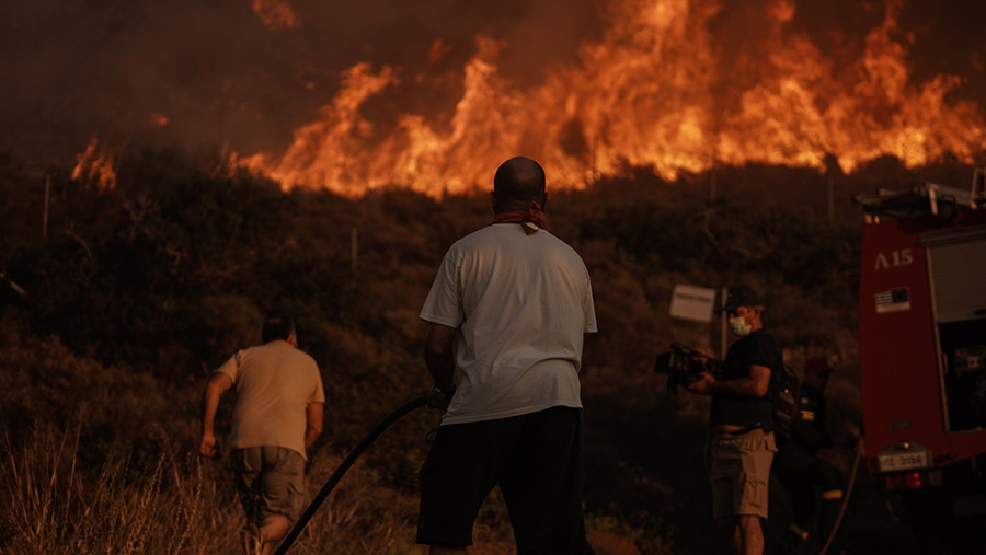 Kebakaran hutan di dekat Athena menghancurkan rumah dan mobil akibat angin kencang yang memperkuat kobaran api.. (Nick Paleologos/Bloomberg)