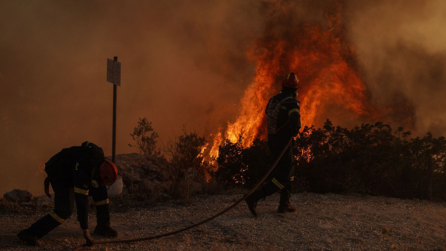 Penduduk di Kouvaras dan daerah sekitarnya sekitar 40 kilometer (25 mil) tenggara ibu kota Yunani diminta untuk evakuasi. (Nick Paleologos/Bloomberg)