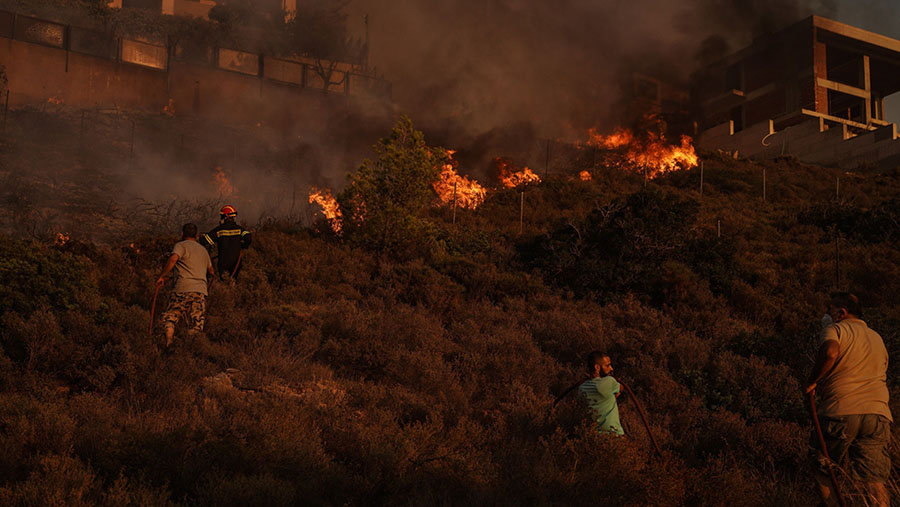 Petugas pemadam kebakaran memadamkan api di Saronida, selatan Athena, Yunani, Senin (17/7/2023). (Nick Paleologos/Bloomberg)