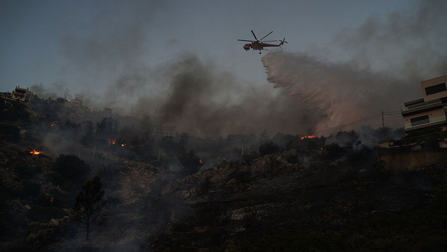 Helikopter S-64E Erickson menjatuhkan air untuk memadamkan api di Saronida, selatan Athena, Yunani, Senin (17/7/2023). (Nick Paleologos/Bloomberg)