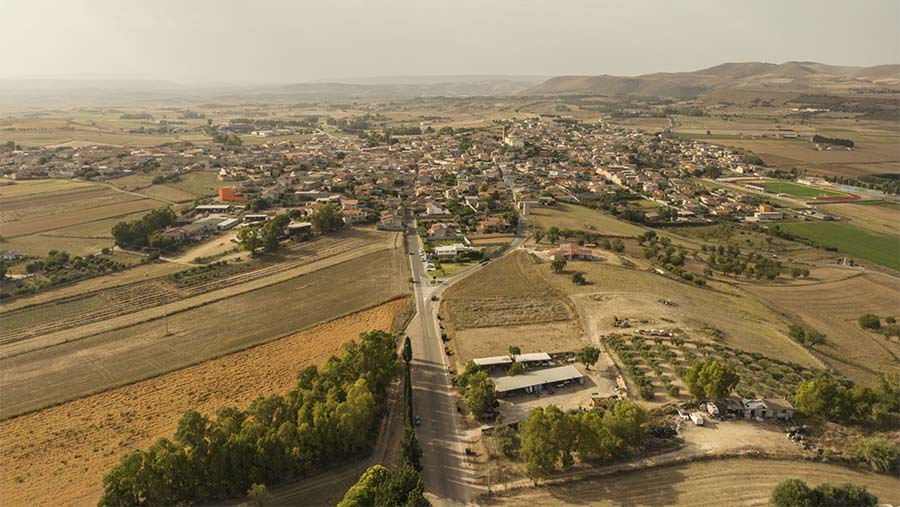 Suasana lahan saat cuaca panas akibat gelombang panas Charon di Guasila, pulau Sardinia, Italia, Selasa (18/7/2023). (Francesca Volpi/Bloomberg)