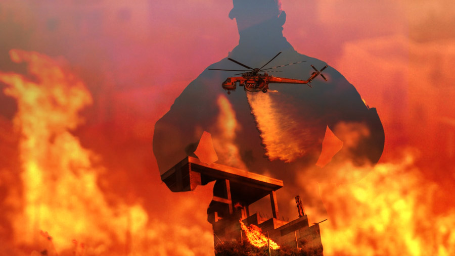 Ilustrasi Kebakaran Hutan (Bloomberg Technoz)