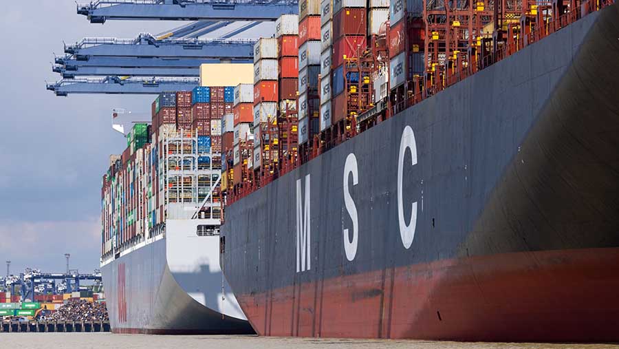 MSC New York (kanan) dan kapal kontainer OOCL Hong Kong di dermaga  Pelabuhan Felixstowe, Inggris, Kamis (11/5/2023).  (Chris Ratcliffe/Bloomberg)