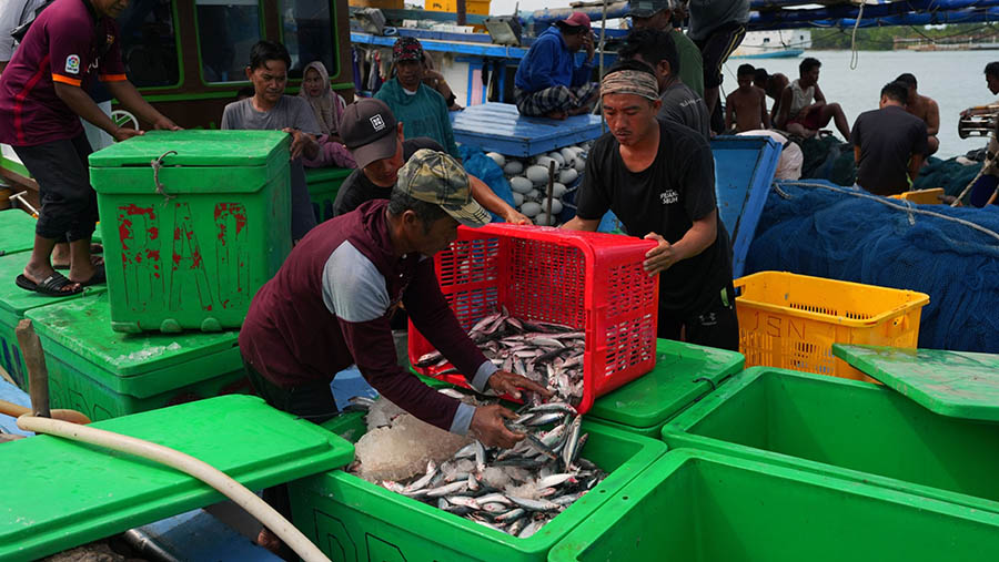 Pekerja membongkar ikan yang baru ditangkap di pelabuhan perikanan Muara Sungai Baturusa di Pangkalpinang, Minggu (4/9/2022). (Dimas Ardian/Bloomberg)