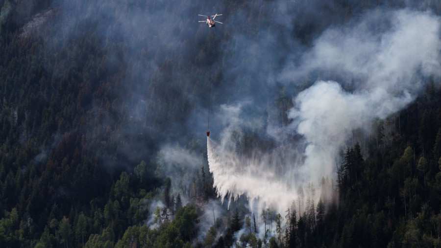 Ilustrasi kebakaran hutan ( Jesse Winter/Bloomberg)