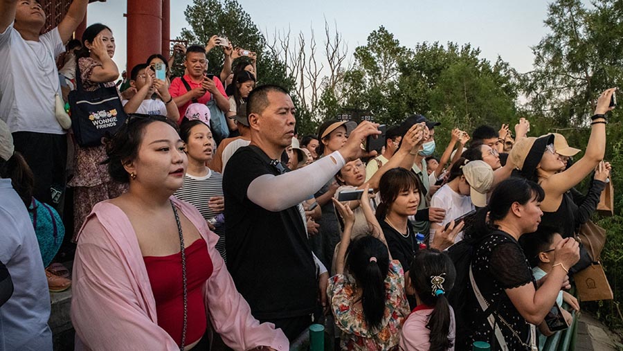 Pengunjung berkumpul untuk melihat Kota Terlarang saat matahari terbenam di Taman Jingshan di Beijing, China, Sabtu (12/8/2023). (Bloomberg)