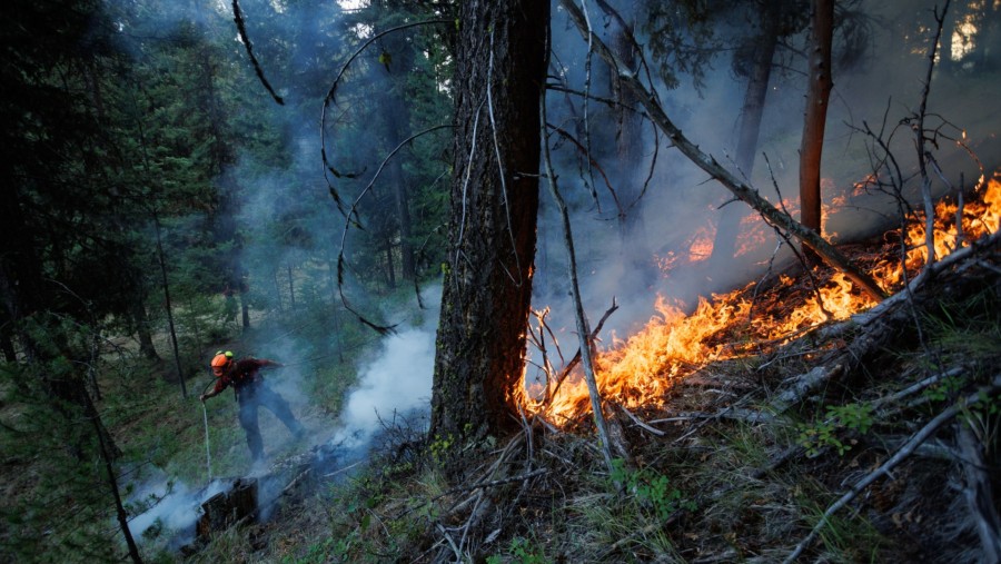 Kebakaran hutan di Kanada./dok. Bloomberg