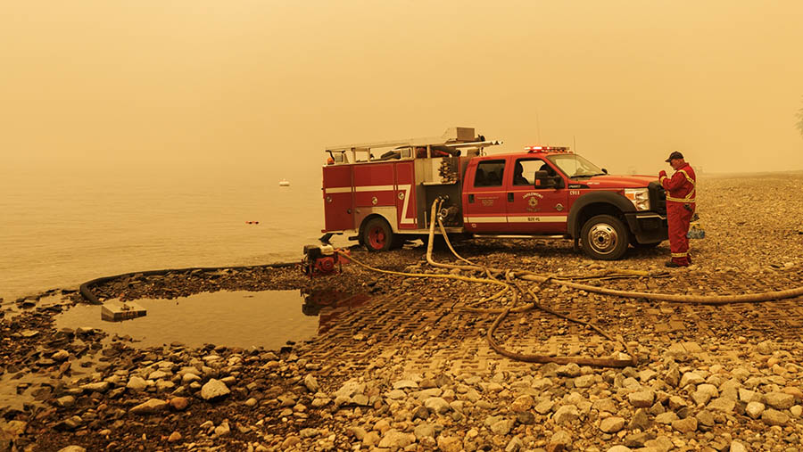 Di Kanada, jumlah kebakaran dan total area yang terbakar jauh di atas rata-rata sepanjang tahun ini. (Cole Burston/Bloomberg)