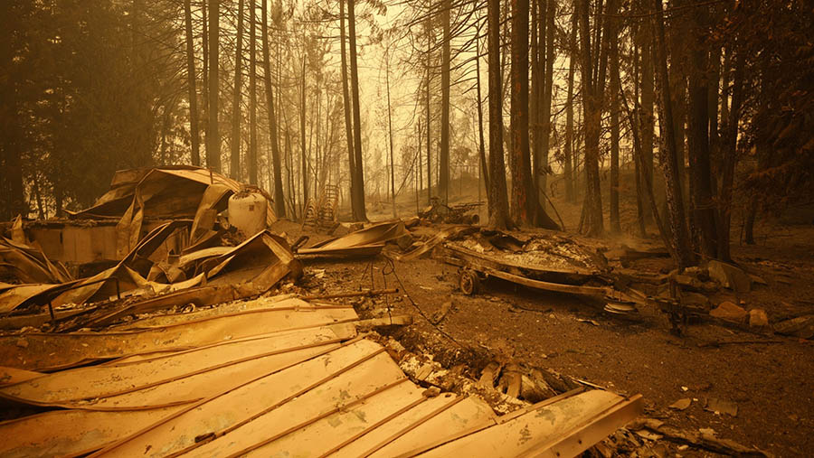 Akibat kebakaran hutan tersebut provinsi British Columbia menyatakan keadaan darurat dan memaksa puluhan ribu orang mengungsi (Cole Burston/Bloomberg)