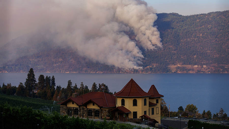 Seluruh kota Kelowna, dengan populasi sekitar 150.000 orang, dalam keadaan siaga dan evakuasi juga dimulai ke utara kota. (Cole Burston/Bloomberg)