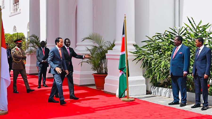 Presiden Jokowi melakukan kunjungan kenegaraan di State House, Kenya, Senin (21/8/2023). (BPMI Setpres/Laily Rachev)