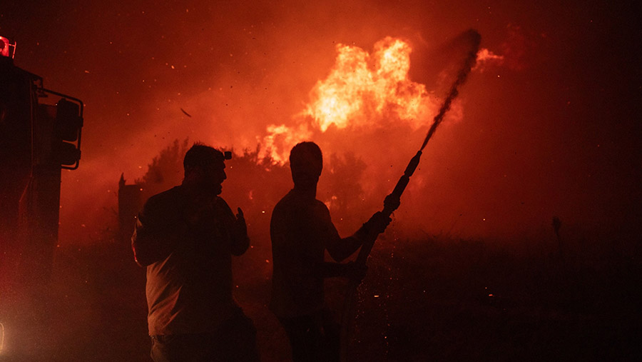 Petugas memadamkan api di dekat desa Avantas, timur laut Alexandroupolis, Yunani, Senin (21/8/2023). (Konstantinos Tsakalidis/Bloomberg)