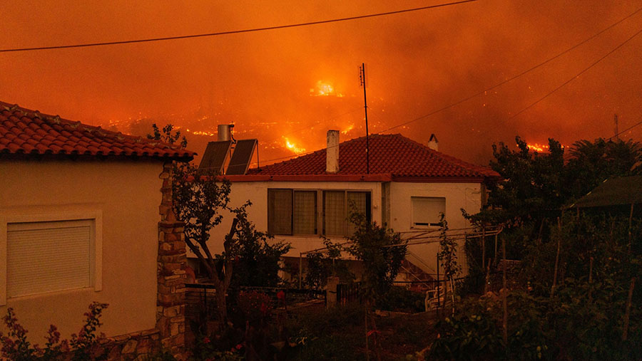 Otoritas Yunani mengatakan banyak wilayah berada dalam status kewaspadaan tinggi terhadap kebakaran hutan. (Konstantinos Tsakalidis/Bloomberg)