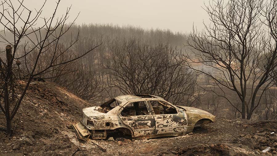 Mobil hancur akibat kebakaran hutan di desa Palagia, timur laut Alexandroupolis, Yunani, Selasa (22/8/2023). (Konstantinos Tsakalidis/Bloomberg)