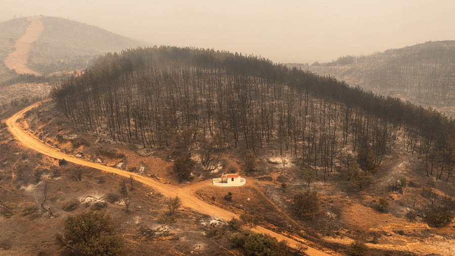Hanya dalam beberapa hari terakhir Yunani telah mengalami kebakaran membakar lebih dari 99.000 hektar lahan. (Konstantinos Tsakalidis/Bloomberg)