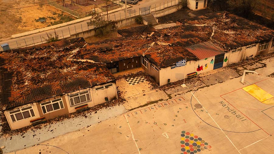 Terlebih setelah Juli dinyatakan sebagai bulan paling panas sepanjang sejarah. (Konstantinos Tsakalidis/Bloomberg)