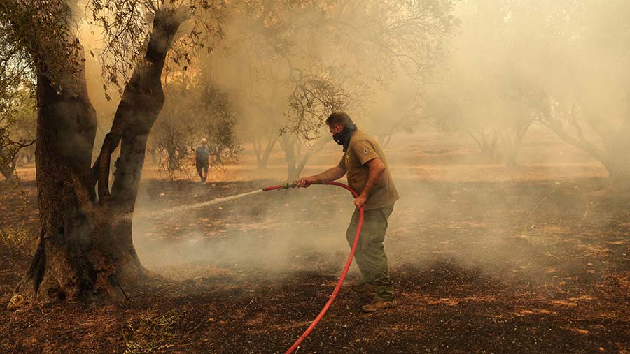 Kebakaran ini merupakan contoh kejadian cuaca ekstrem dalam beberapa bulan terakhir (Konstantinos Tsakalidis/Bloomberg)