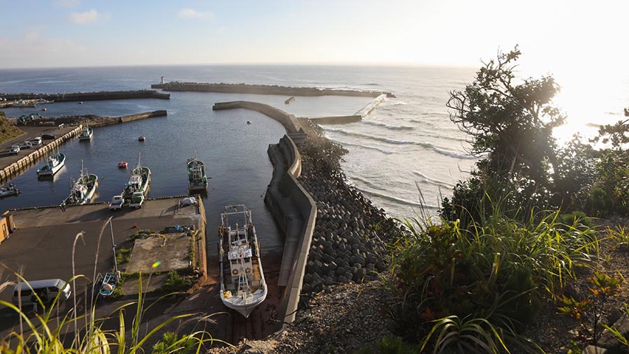 Keputusan diambil sebagai pencegahan risiko kontaminasi radioaktif air limbah nuklir, dan menjamin keamanan pangan. (Kentaro Takahashi/Bloomberg)