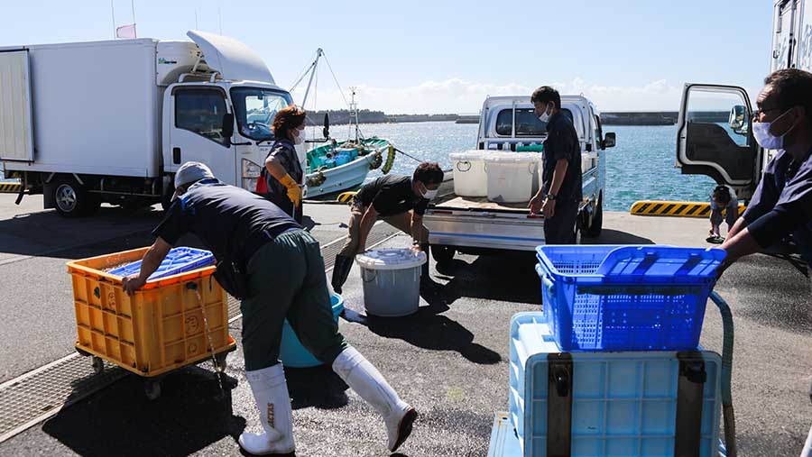 Suasana pelabuhan ikan Numanouchi di Iwaki, Prefektur Fukushima, Jepang, Kamis (24/8/2023). (Kentaro Takahashi/Bloomberg)