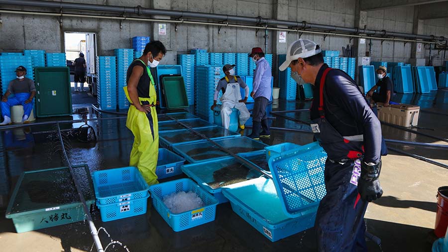 Air limbah yang akan dibuang oleh Jepang setara dengan volume sekitar 500 kolam renang ukuran Olimpiade. (Kentaro Takahashi/Bloomberg)