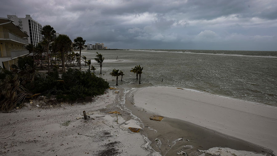 Florida tengah bersiap menghadapi ancaman dari Badai Tropis Idalia. (Eva Marie Uzcategui/Bloomberg)