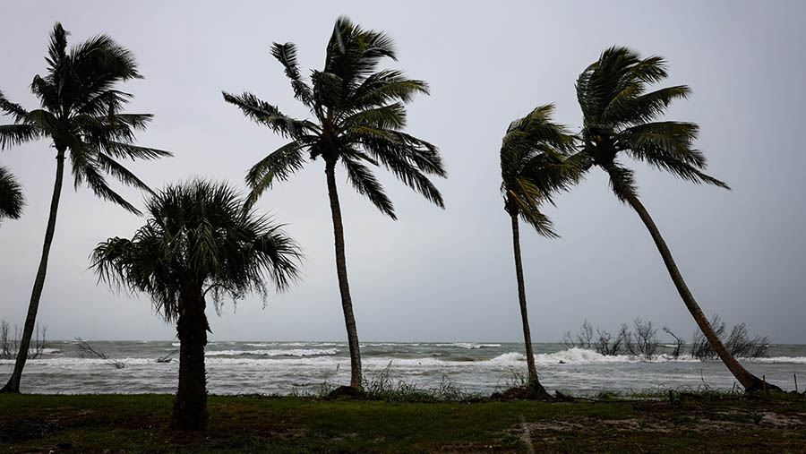 Pantai Fort Myers saat air pasang menjelang Badai Idalia di Fort Myers, Florida, AS, Selasa (29/8/2023). (Eva Marie Uzcategui/Bloomberg)