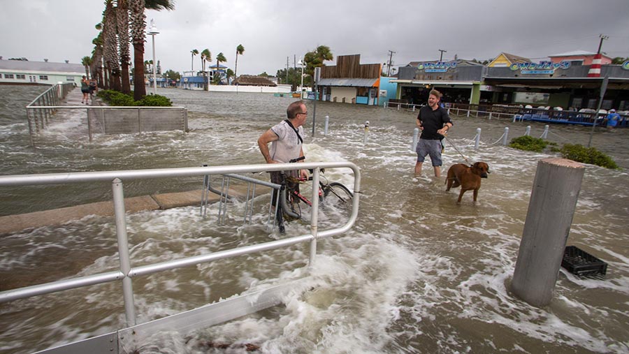 Warga berjalan melewati genangan air akibat Badai Idalia di Gulfport, Florida, AS, Rabu (30/8/2023) (Juan Manuel Barrero Bueno/Bloomberg)