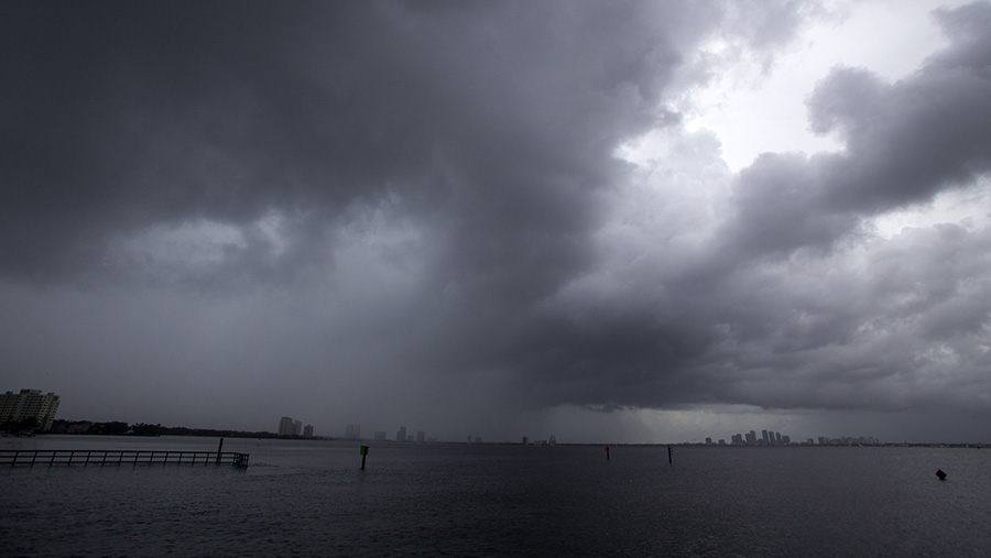 Teluk Hillsborough saat terjadi gelombang badai usai Badai Idalia di Tampa, Florida, AS, Rabu (30/8/2023). (Juan Manuel Barrero Bueno/Bloomberg)