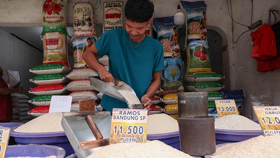 Pedagang beras melayani pembeli di Jakarta, Selasa (29/8/2023). (Bloomberg Technoz/ Andrean Kristianto)
