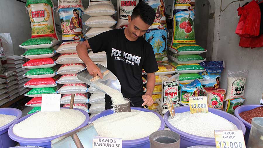 Pedagang beras melayani pembeli di Jakarta, Selasa (29/8/2023). (Bloomberg Technoz/ Andrean Kristianto)