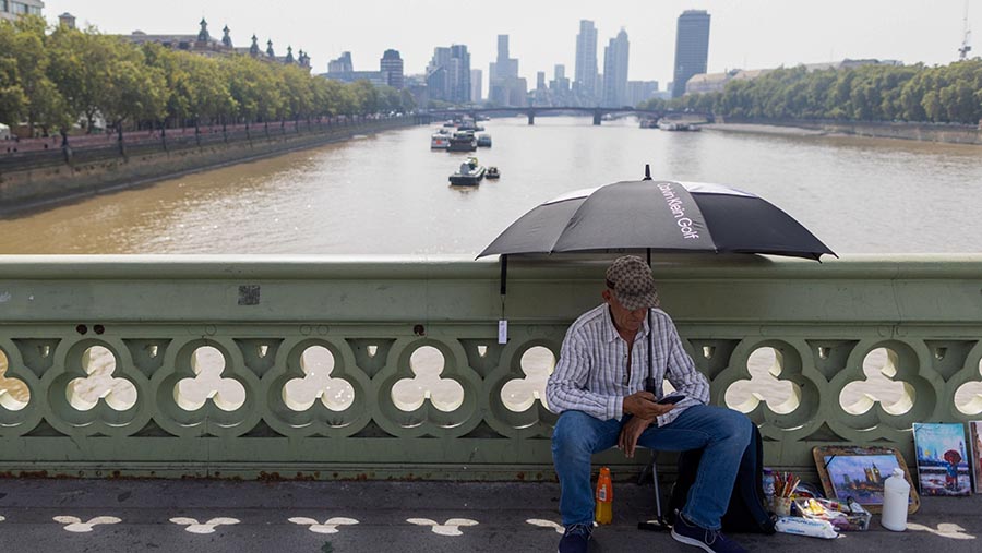 Seorang seniman duduk dengan membawa payung saat cuaca panas di Jembatan Westminster, London, Inggris, Rabu (6/9/2023). (Chris Ratcliffe/Bloomberg)