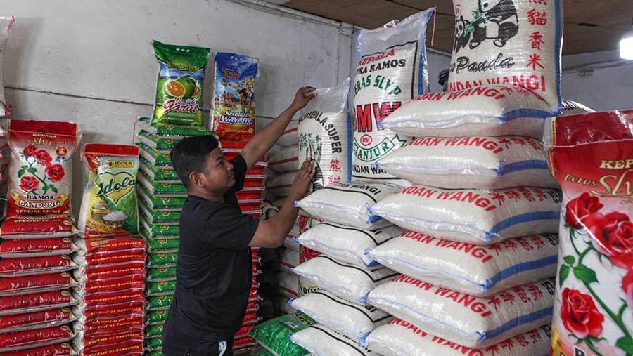 Pedagang mengaku kenaika beras sudah terjadi sejak awal Agustus. (Bloomberg Technoz/ Andrean Kristianto)