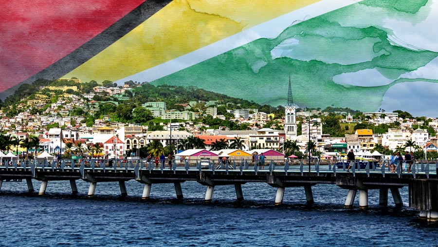 Ilustrasi Guyana (Bloomberg Technoz)
