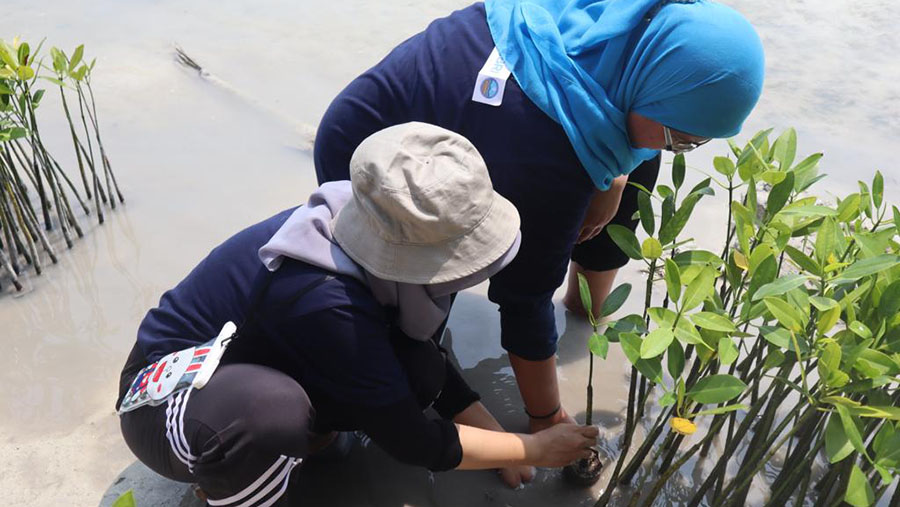 BRI Kembali Tanam Bibit Mangrove di Pulau Tidung. (Dok. BRI)