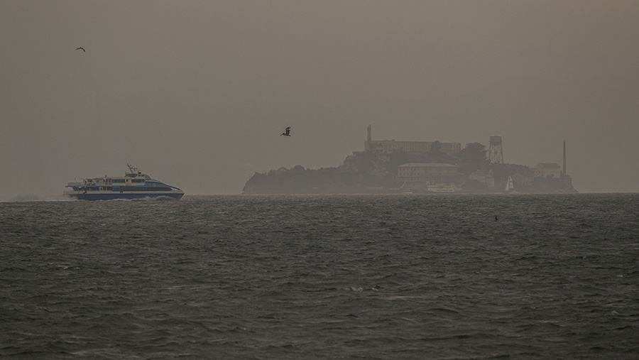 Saat ini ada 25 kebakaran di Barat Amerika, dengan 12 di Oregon, tujuh di Washington, dan enam di California. (David Paul Morris/Bloomberg)