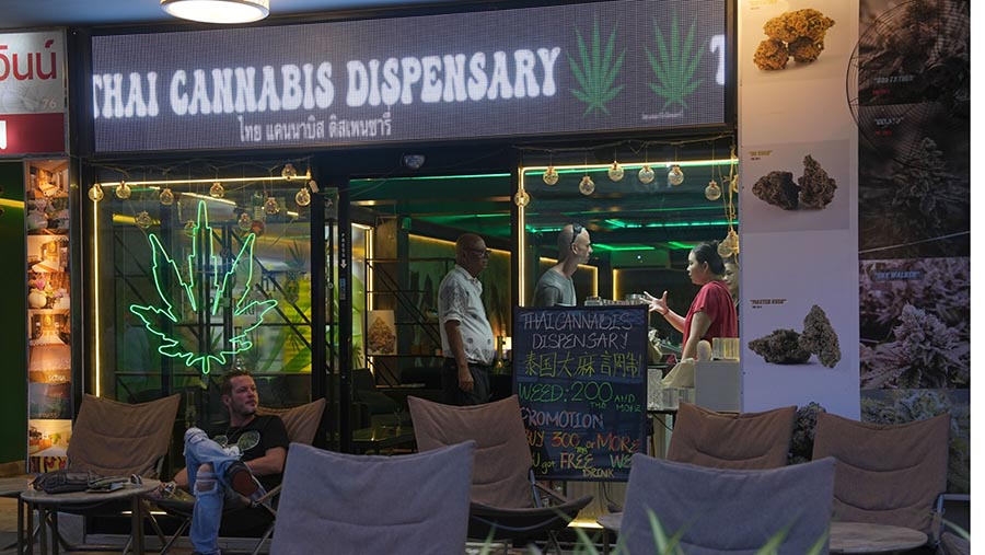 Kini Thailand hampir memiliki 6.000 toko ganja di seluruh negeri. (Dimas Ardian/Bloomberg)