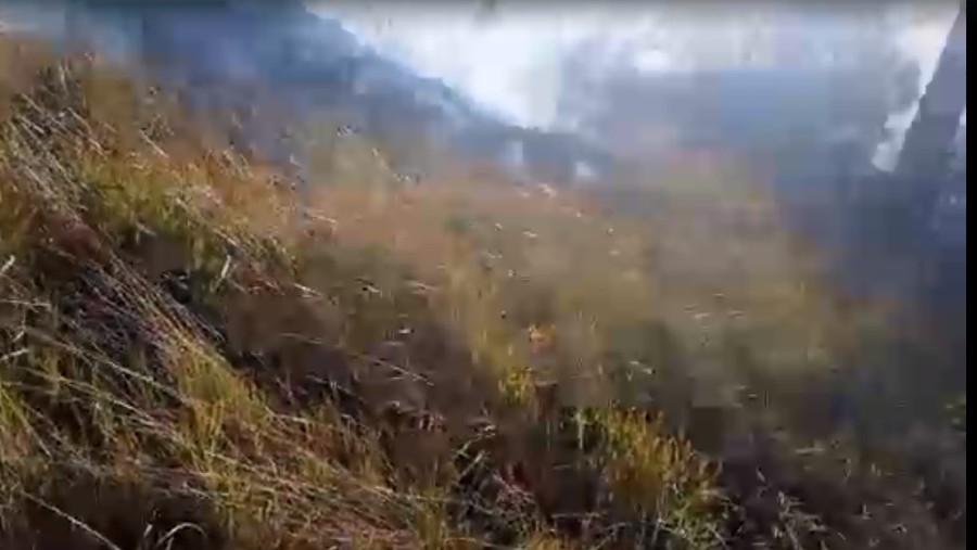 Ilustrasi kebarakan gi areal Gunung Lawu Kabupaten Ngawi. (Dok: tangkapan layar video BNPB)