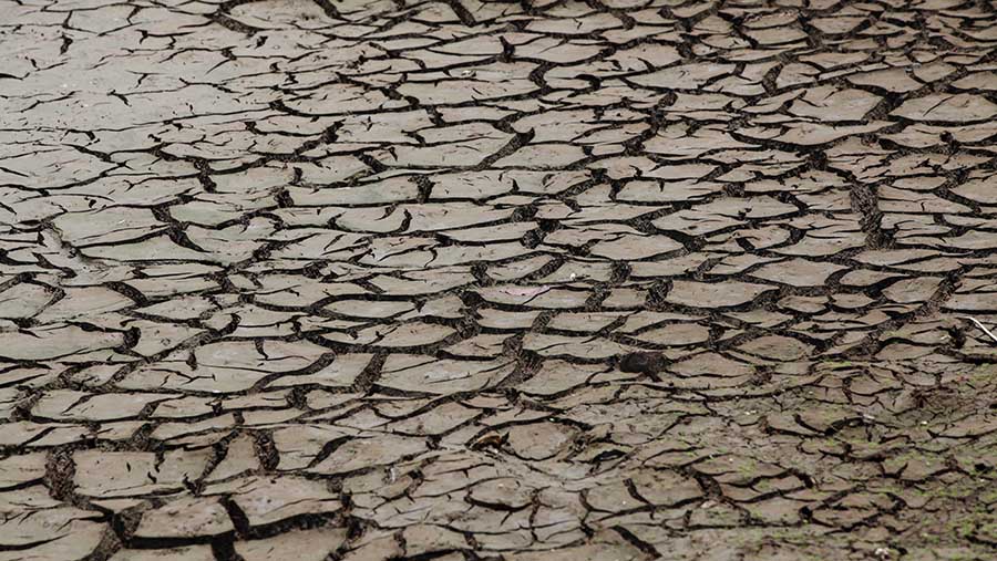 Tanah di dasar danau terlihat pecah karena kurangnya air. (Bloomberg Technoz/ Andrean Kristianto)