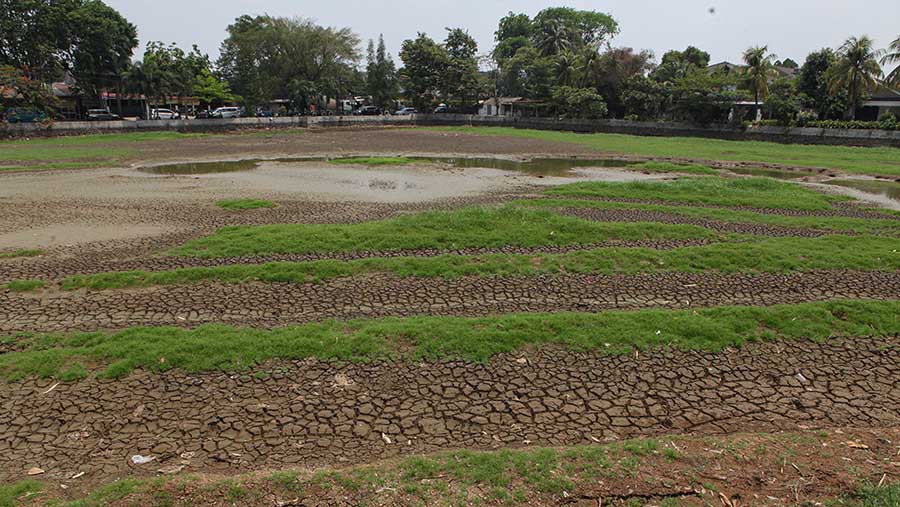 Kondisi cuaca yang tak kunjung hujan membuat Danau Cinere mengering. (Bloomberg Technoz/ Andrean Kristianto)