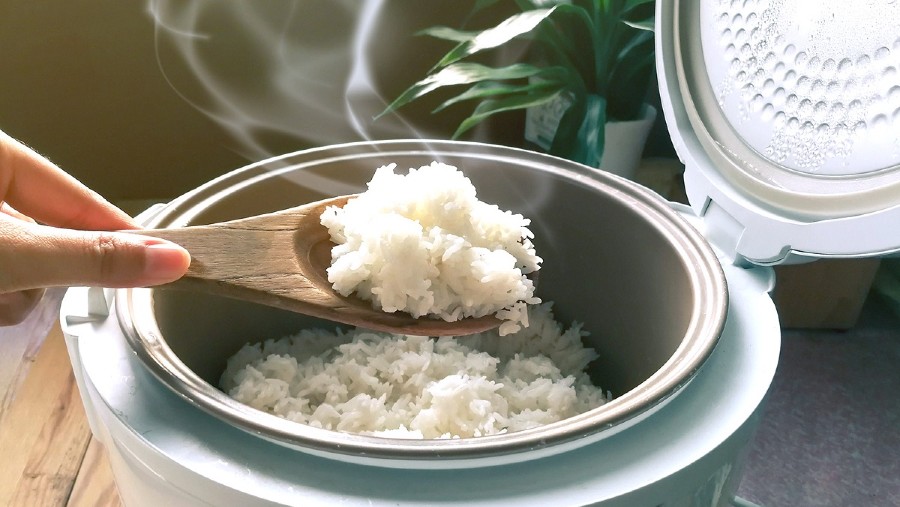 Ilustrasi rice cooker atau penanak nasi./dok. Tokopedia