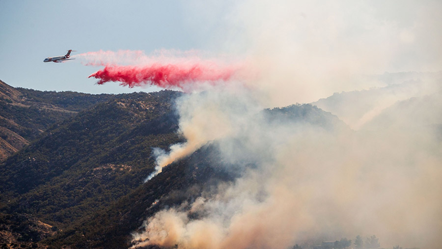 Angin Santa Ana adalah angin panas dan kering musiman yang berkembang saat udara mengalir dari timur ke barat. (Ethan Swope/Bloomberg)