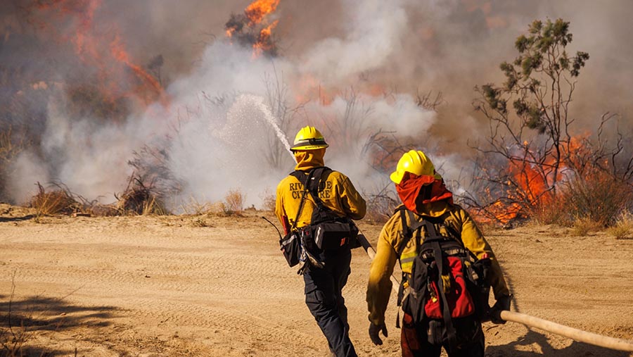 Petugas pemadam kebakaran memadamkan Kebakaran Highland di Aguanga, California, AS, Selasa (31/10/2023). (Ethan Swope/Bloomberg)