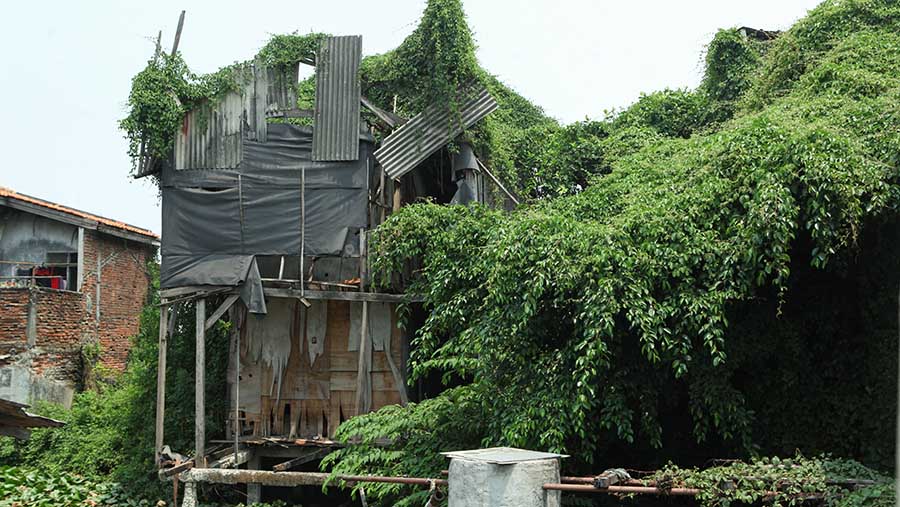 Kampung ini sudah berdiri sejak puluhan tahun. (Bloomberg Technoz/Andrean Kristianto)