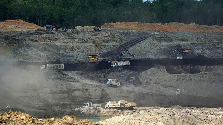 Tambang batu bara di Kalimantan. (Dimas Ardian/Bloomberg)